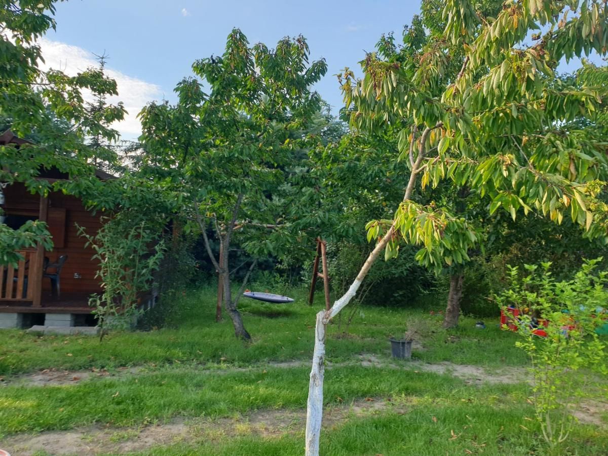 Кемпинги Domek letniskowy w zieleni blisko jeziora średzkiego Сьрода-Велькопольска-15